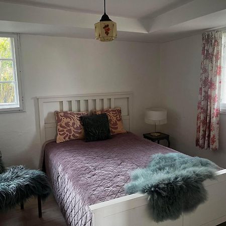 Rosenlund Gods - Kaelder B&B Sakskøbing Εξωτερικό φωτογραφία