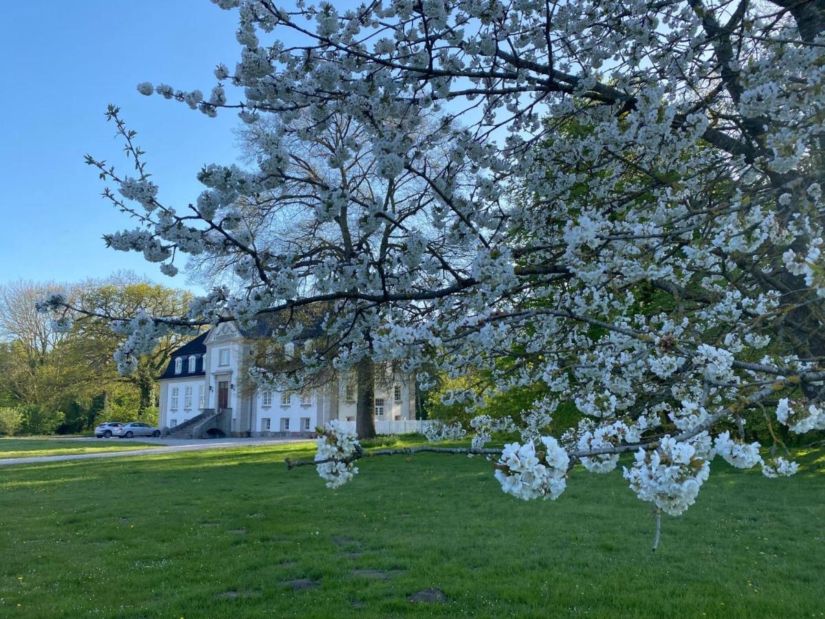 Rosenlund Gods - Kaelder B&B Sakskøbing Εξωτερικό φωτογραφία