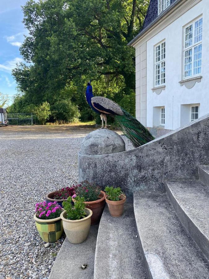 Rosenlund Gods - Kaelder B&B Sakskøbing Εξωτερικό φωτογραφία